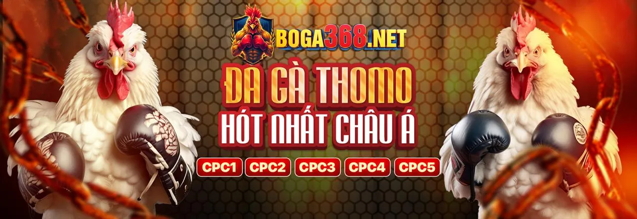 Hình ảnh đại diện cho cá cược có trách nhiệm tại 33WIN